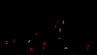 Free Movie Clips, Confetti, Light-emitting Diode, Pattern, Design, Paper