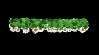 Free No Copyright Bgm For Youtube - No Copyright, Free Download, Backgrounds, HD
