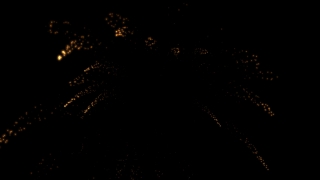 Free Stock Video Woman, Feather Star, Echinoderm, Invertebrate, Night, Celebration