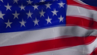 Free Video Animated Backgrounds, Flag, Patriotic, Emblem, National, Symbol