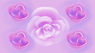 Free Video Content For Your Website, Lilac, Pink, Flower, Art, Rose