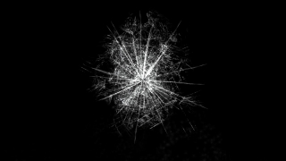 Free Videos For Commercial Use Youtube, Dandelion, Herb, Plant, Night, Light