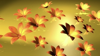 Hd Background Loops, Maple, Island, Floral, Design, Decoration