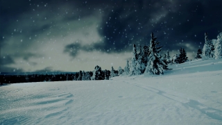 Pixels Stock Videos, Ski Slope, Snow, Slope, Winter, Geological Formation