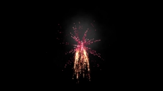 Sites For Video Footage, Firework, Star, Night, Explosive, Fireworks